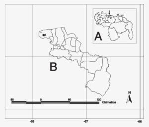 Ubicación Geográfica De Las Localidades De Cumboto - Diagram