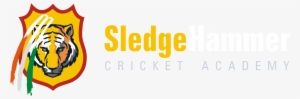 Sledge Hammer Cricket Academy - Collegefangear Depauw 3 Ft X 5 Ft Flag