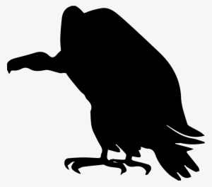 Png File - Vulture Vector Png