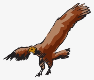 Scavanger Buzzard Bird Carnivore - Vulture