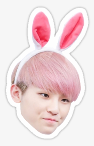 Kpop Pink Hair Boy