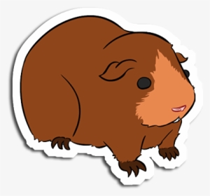 Guinea Pig Png Download Transparent Guinea Pig Png Images For Free Nicepng