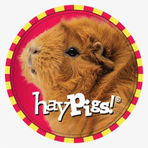 Marcia Fries - Haypigs!® Limited