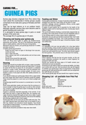 Pet Information Page - Love And A Guinea Pig Throw Blanket