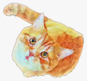 Orange Cat Png