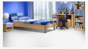 Feltex Residential Boys Bedroom Dark Medium - Asian Paints Blue Colour