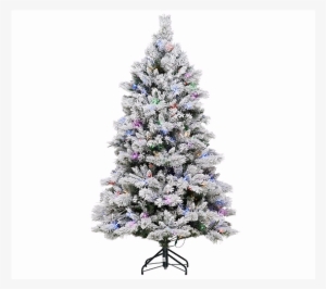 Ed On Air Santa's Best 5' Flocked Spruce Tree By Ellen - Christmas Tree