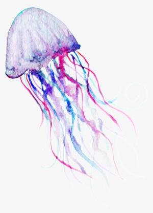 Watercolor Deep Sea Jelly Png Transparent - 水母 Png