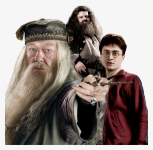 harry potter dumbledore harry hagrid - dumbledore and harry potter