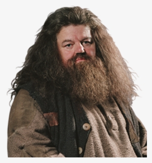 Photo - Hagrid Cutout