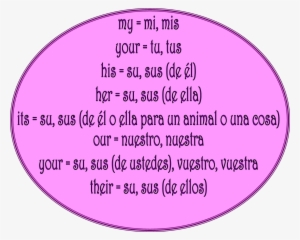 Check Out This - Possessive Pronouns English And Spanish