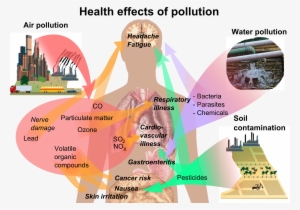 Health Effects Of Pollution - Plastic Impact On Human Health
