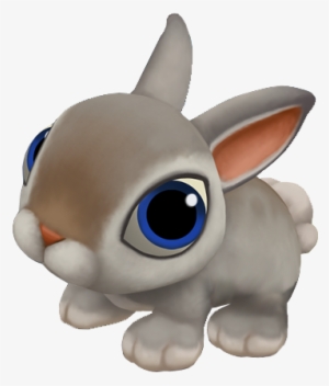 Baby Gray Cotton Tail Rabbit - Rabbit