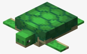 Turtle - Minecraft Turtle Png