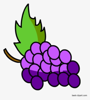 Free Grapes Clip Art - Grape