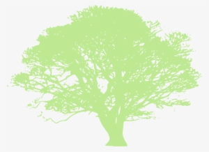 How To Set Use Apple Green Oak Tree Clipart