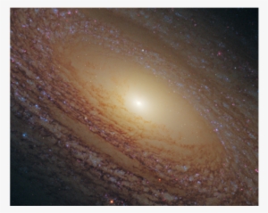 Spiral Galaxy Ngc - Ngc 2841