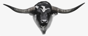 hetland horns bull head - missouri