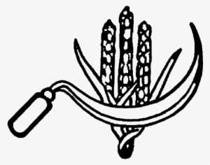 Indian Election Symbol Ears Of Corn And Sickle - Symbol Of Communist Party Of India