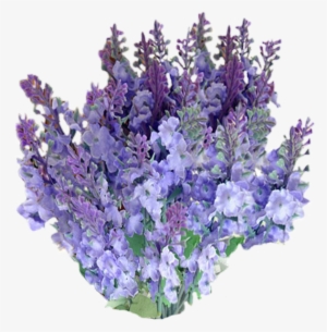 Freetoedit Png Flowers With A Transparent Background - Lavender Flower No Background