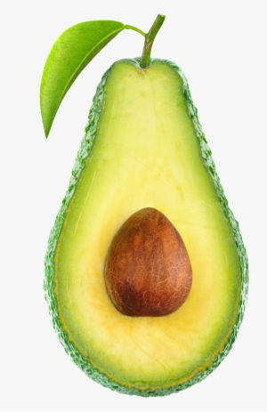 Great Clip Art Of Fruit - Avocado With No Background