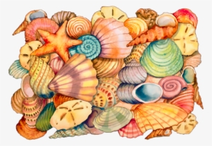 Tubes - Sea-shells Bag, Adult Unisex, Natural