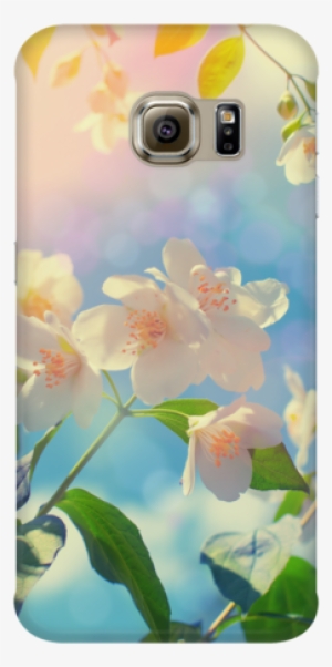 Blossom Phone Case