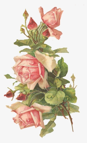 Grab Them All For Summer Rose Crafting - Rose With Transparent Background
