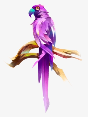 Animus - Bird