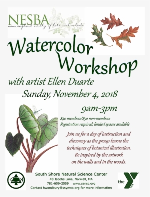 Watercolor Workshop With Artist Ellen Duarte - Jasmine