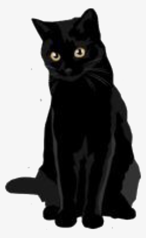 Black White Cats Anime Images  AniYukicom