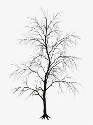 Dark Trees Png Stock 09 By Roy3d - Png Trees Black Photoshop