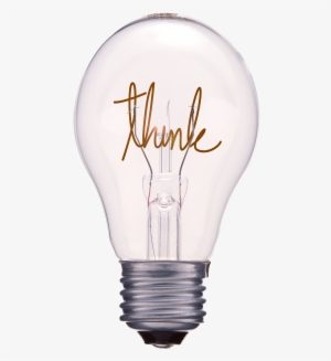 Lightbulb - Enviromedia, Inc.