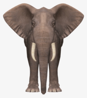 Free Png Elephant Png Images Transparent - Elephant Png