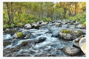 Fast Flowing In The Woods Medium Image - Fast River Journal: Blank 200 Page Journal