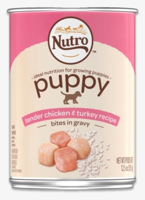 Nutro Puppy Food Wet