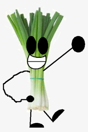 Spring Onion - Wiki