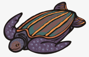 Back Clipart Sea Turtle - Sea Turtle Cartoon Png