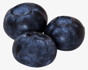 Free Png Blueberry Png Images Transparent - Blurberrys Png