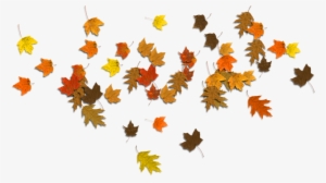 Falling Autumn Leaves Png Banner Freeuse Stock - Fall Sale
