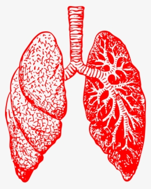 could exposure to silica dust be impacting - dealing with bronchitis: overcoming bronchitis and