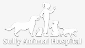 Sully Animal Hospital