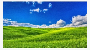 Medium Image - Green Meadow Blue Sky