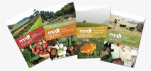 Malt Pocket Brochures