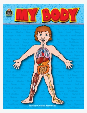 Teacher Created Resources Tcr0211 My Body Thematic