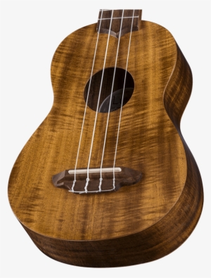 Luna Guitars Product Image - Gig Bag