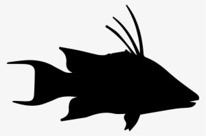 Fish Hog Snapper Shape Comments - Porco Vetor Icone Png