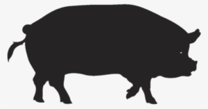 Pork Clipart Pig Tail - Icono Jabali