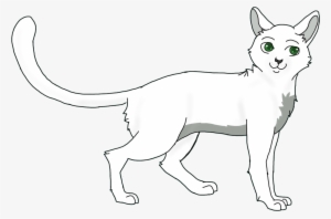 Felix Cat - Dog