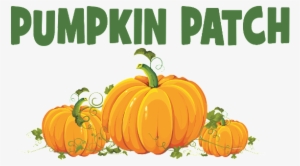 Pumpkin Patch Png